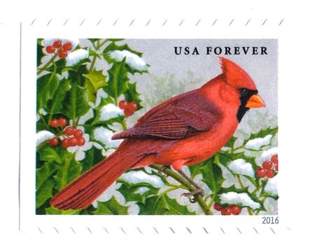 100 Cardinal Holly Forever Stamps Unused Christmas Holly and Cardinal Postage Stamps Song Bird in Snow Forever Stamps for Mailing